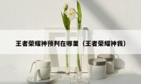 王者荣耀神预判在哪里(王者荣耀神我)