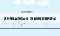 武则天王者荣耀介绍（王者荣耀武则天是啥）