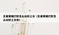王者荣耀打野怎么玩好上分(王者荣耀打野怎么玩好上分快)