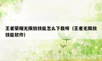 王者荣耀无限放技能怎么下载呀（王者无限放技能软件）