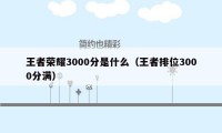 王者荣耀3000分是什么（王者排位3000分满）