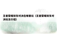 王者荣耀双生对决在哪里玩(王者荣耀双生对决玩法介绍)