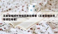 王者荣耀成长等级奖励在哪看（王者荣耀会员等级在哪看）