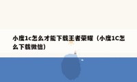 小度1c怎么才能下载王者荣耀（小度1C怎么下载微信）