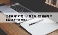 王者荣耀212是什么意思啊（王者荣耀2113211A什么意思）