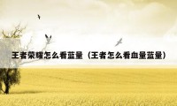 王者荣耀怎么看蓝量(王者怎么看血量蓝量)