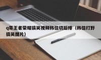 q哥王者荣耀搞笑视频韩信切后排（韩信打野搞笑图片）