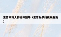 王者荣耀大神视频猴子(王者猴子的视频解说)