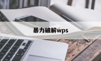 暴力破解wps（暴力破解wps加密pdf文件）