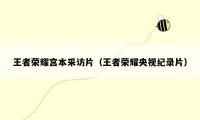 王者荣耀宫本采访片（王者荣耀央视纪录片）