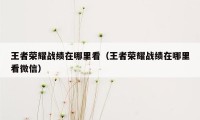 王者荣耀战绩在哪里看(王者荣耀战绩在哪里看微信)
