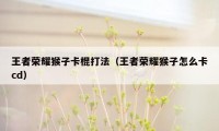 王者荣耀猴子卡棍打法（王者荣耀猴子怎么卡cd）