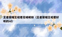 王者荣耀王昭君花哨昵称（王者荣耀王昭君好听的id）