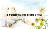 王者荣耀橘中秘攻略（王者橘子技巧）