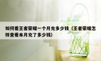 如何看王者荣耀一个月充多少钱（王者荣耀怎样查看本月充了多少钱）