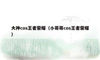 大神cos王者荣耀（小哥哥cos王者荣耀）