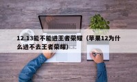 12.13能不能进王者荣耀（苹果12为什么进不去王者荣耀）