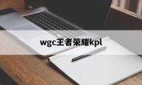 wgc王者荣耀kpl（WGC王者荣耀）