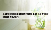 王者荣耀体验服的贵族积分哪来的（王者体验服贵族怎么来的）