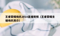 王者荣耀嗨氏2018直播视频（王者荣耀主播嗨氏简介）