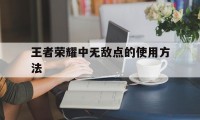 王者荣耀中无敌点的使用方法（王者荣耀可以无敌的模式在哪里）