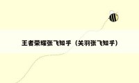 王者荣耀张飞知乎（关羽张飞知乎）