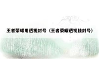 王者荣耀用透视封号（王者荣耀透视挂封号）