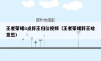 王者荣耀8点野王归位视频(王者荣耀野王啥意思)
