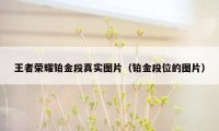 王者荣耀铂金段真实图片（铂金段位的图片）
