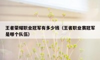 王者荣耀职业冠军有多少钱（王者职业赛冠军是哪个队伍）