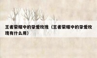 王者荣耀中的挚爱玫瑰（王者荣耀中的挚爱玫瑰有什么用）