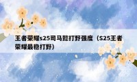 王者荣耀s25司马懿打野强度（S25王者荣耀最稳打野）