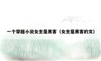 一个穿越小说女主是黑客(女主是黑客的文)