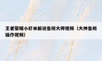 王者荣耀小虾米解说鲁班大师视频（大神鲁班操作视频）