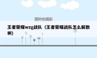 王者荣耀wzg战队(王者荣耀战队怎么解散啊)