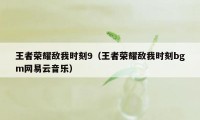 王者荣耀敌我时刻9（王者荣耀敌我时刻bgm网易云音乐）