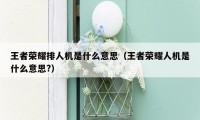 王者荣耀排人机是什么意思(王者荣耀人机是什么意思?)