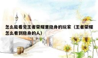 怎么能看见王者荣耀里隐身的玩家（王者荣耀怎么看到隐身的人）