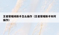 王者荣耀纯新手怎么操作（王者荣耀新手如何操作）