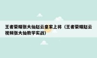 王者荣耀张大仙赵云皇家上将(王者荣耀赵云视频张大仙教学实战)