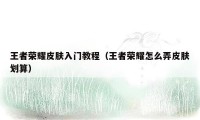 王者荣耀皮肤入门教程（王者荣耀怎么弄皮肤划算）