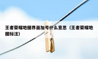 王者荣耀地图界面加号什么意思(王者荣耀地图标注)