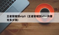 王者荣耀到vip5（王者荣耀到v7一共要充多少钱）