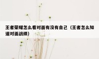 王者荣耀怎么看对面有没有自己(王者怎么知道对面战绩)