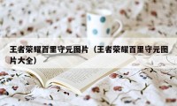 王者荣耀百里守元图片（王者荣耀百里守元图片大全）