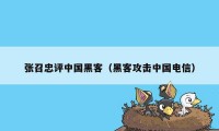 张召忠评中国黑客（黑客攻击中国电信）