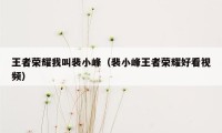 王者荣耀我叫裴小峰（裴小峰王者荣耀好看视频）