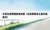 手游王者荣耀换路设置（王者荣耀怎么调分路指引）