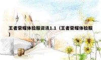 王者荣耀体验服资讯1.1(王者荣耀体验服)