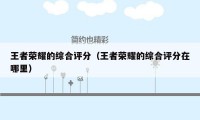 王者荣耀的综合评分(王者荣耀的综合评分在哪里)